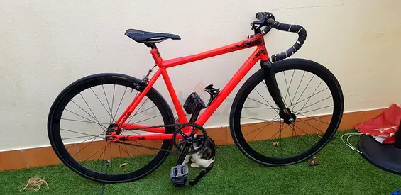 Felt curbside, fixed gear, fully customised