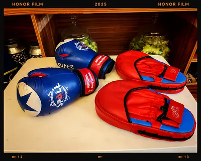 Professional boxing set for sale