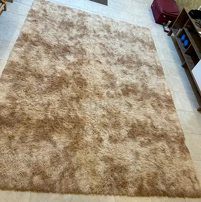 Large Beige Shaggy Rug - Soft, Cozy Floor Carpet