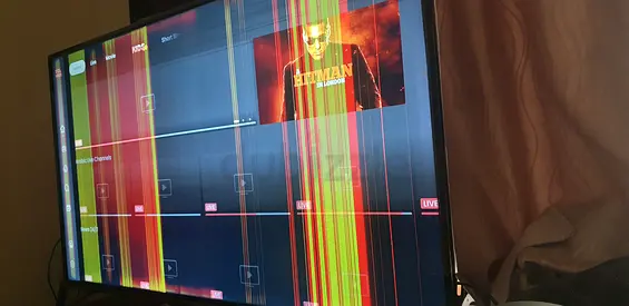 TV