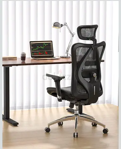 Ergonomic Mesh Office Chair with Headrest Sihoo M57- Adjustable Lumbar Support