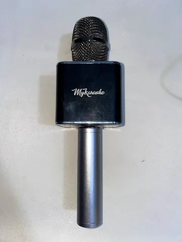 My karaoke microphone