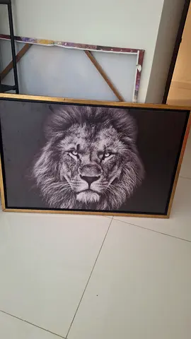 Framed Black  White Lion Portrait Wall Art
