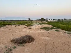 FARM FOR SALE Ras Al Khaimah - Al Maqoura
