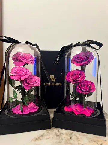 Luxury Eternal Roses in Glass Dome | Perfect Gift 🌹