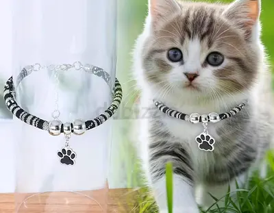 Paw Shaped Pendant for Cat. Brand New. Still in Original Packaging.