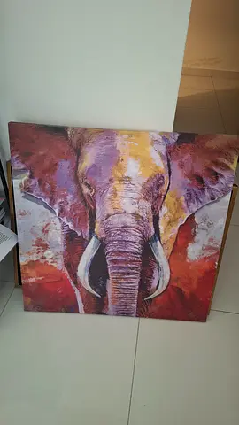 Large Colorful Elephant Canvas Painting - Ready to Hang