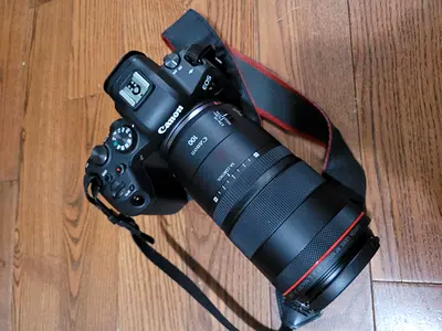 Canon r8 with canon RF 100 F2.8L Macro IS