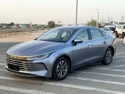 2026 BYD Destroyer 05 Luxury 55km