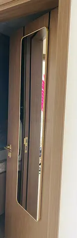 Door Mirror (Very Practical)