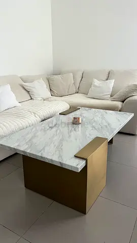 Marble Coffee table