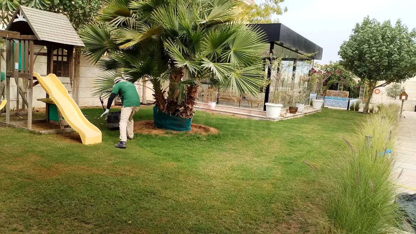 DPV_View_Image_5