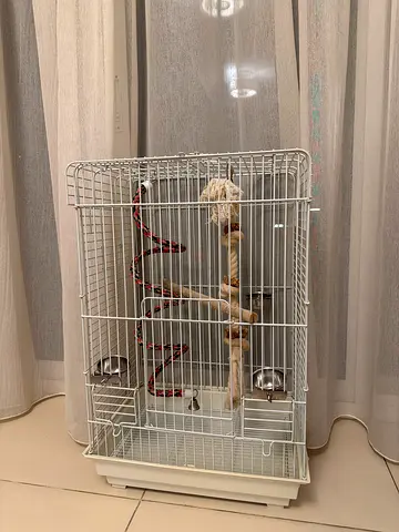 Large White Bird Cage with Perches and Feeding Bowls