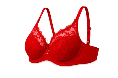 Red Lace Underwire Bra - All sizes available, Gently Used