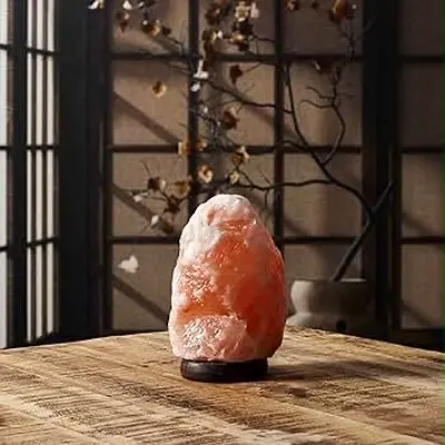 Himalayan Salt Lamp on Wooden Base - Soft Ambient Light