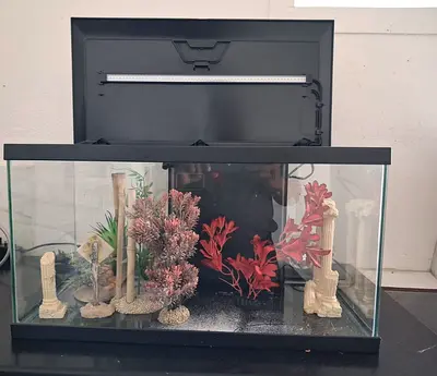 Complete Glass Aquarium Tank with Led, Light and  Only Water Pump Not Working Size Cm 60X30  Deep 33