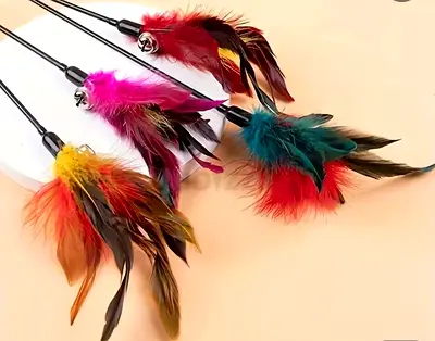 Teasing stick for Cats. Brand New. Feather teasing stick.