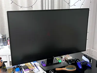 Dell bug monitor for 3000