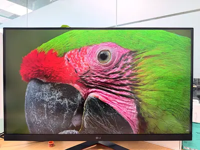 LG 32 Inch UltraGear QHD 1440P 165Hz HDR10 Monitor with FreeSync™ Premium