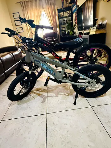 Kids 16 VIKTA Children’s Bike - Good Condition
