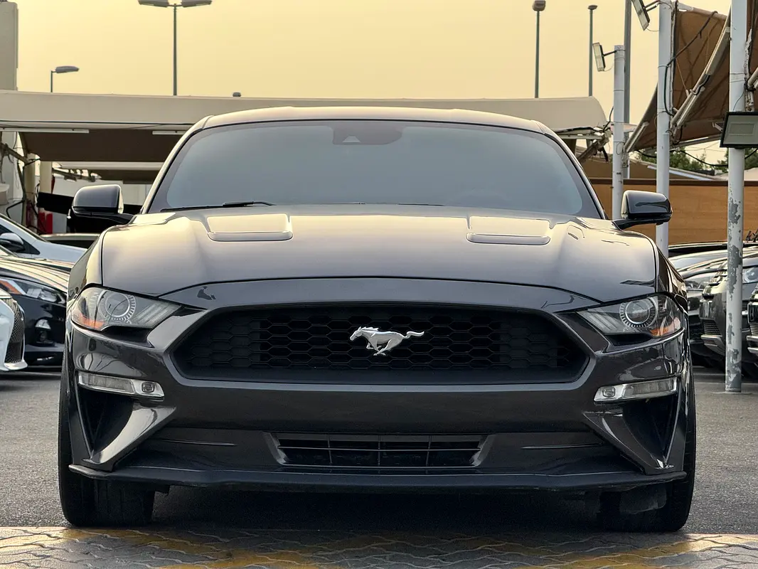 Ford Mustang 2019 — photo 1 of 20