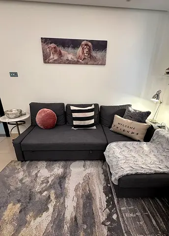 Sectional Sofa Bed with Storage and Pull-out Bed