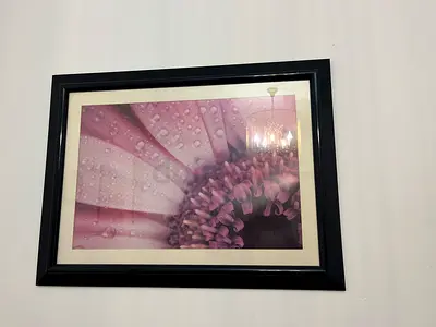 Wall Decor