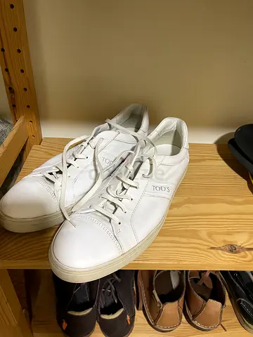 White Tods / Tods leather sneakers, gently used, size 44