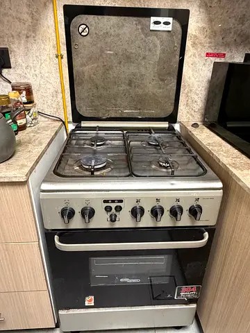Gas stove