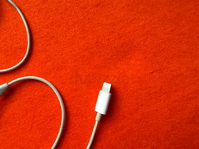 Genuine Apple Lightning Earphones (with Lightning Connector) - Good Working Condition