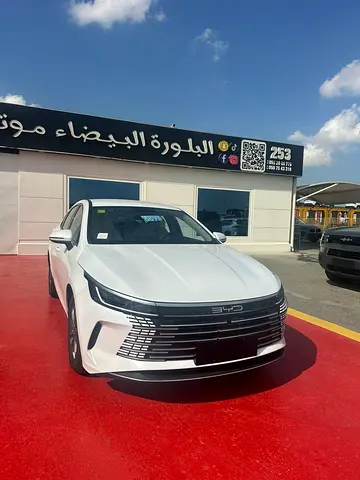 2025 BYD Destroyer 05 120 Luxury Edition - Chinese Specs