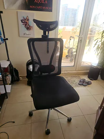 Ergonomic Mesh Office Chair with Headrest