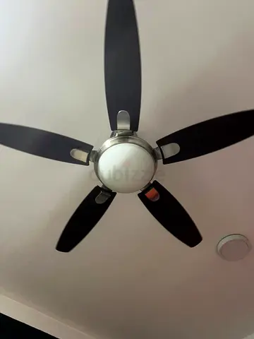 Ceiling fan