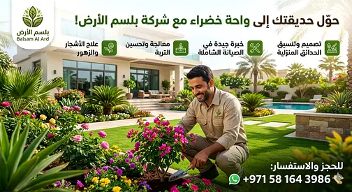 مساحتك الفاضية ممکن تبقى أجمل مکان في بيتك  تصمیم وتنفيذ حدائق بشکل احترافي يغير شکل المكان بالکامل