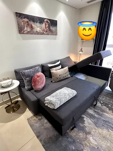 Sectional Sofa Bed with Storage and Pull-out Bed