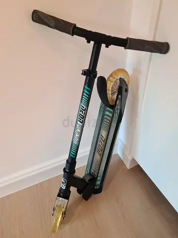 Neon Flash Kick Scooter manual