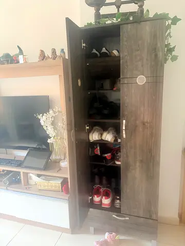 Shoe rack cabinet