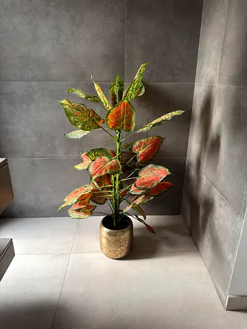 fake plant