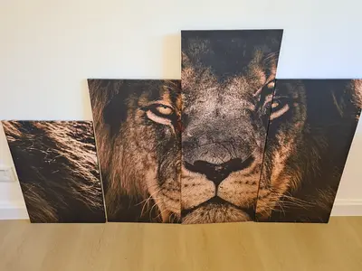 4 Piece Lion Canvas Wall Art Set
