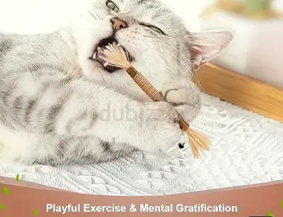 Grass Stick for Cat. Brand New. Still in Original Packaging.