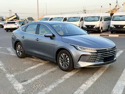 2026 BYD Destroyer 05 Luxury 55km