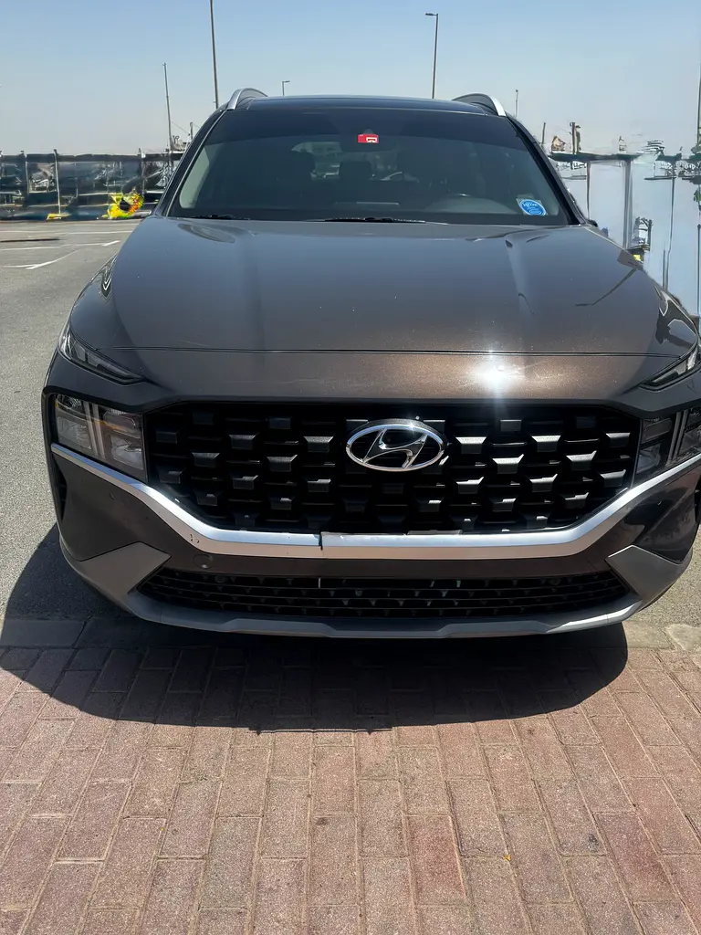 Hyundai Santa Fe 2022 — photo 1 of 10