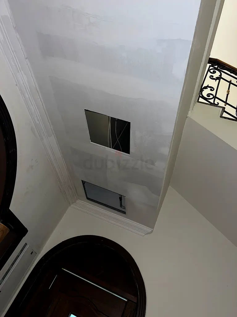 DPV_View_Image_1