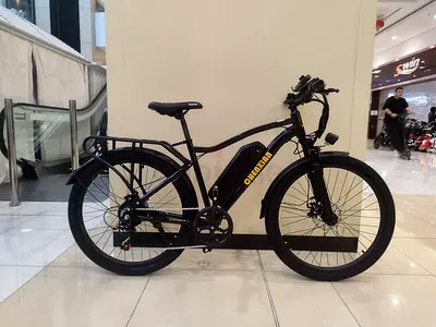 Chenxian electric bike 48w powerful