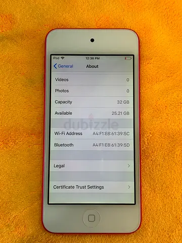 iPod Touch 6th Gen 32gb