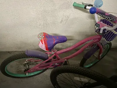 2 Kids Bicycle