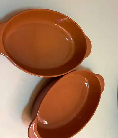 Set of 2 oval baking dishes