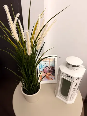 Plant, frame ans candle