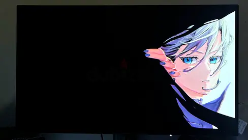 OLED monitors used 2weeks only(New basically)still on warranty QHD 240hz LG WOLED redragon rebellion