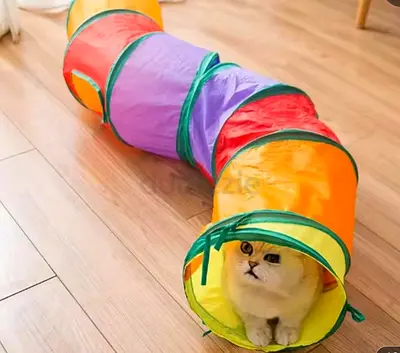 Tunnel for Cat. Brand New. Still in Original Packaging.